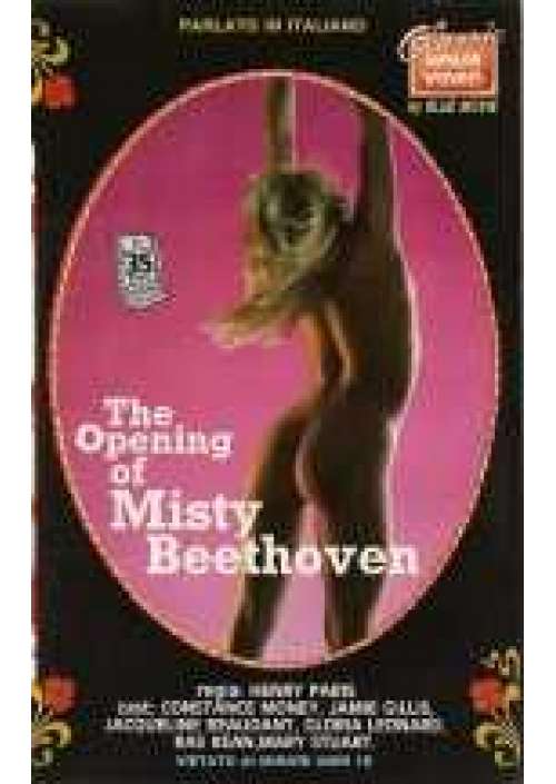 The Opening of misty Beethoven