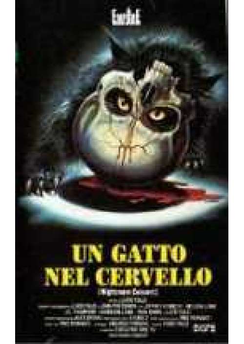 Un Gatto nel cervello