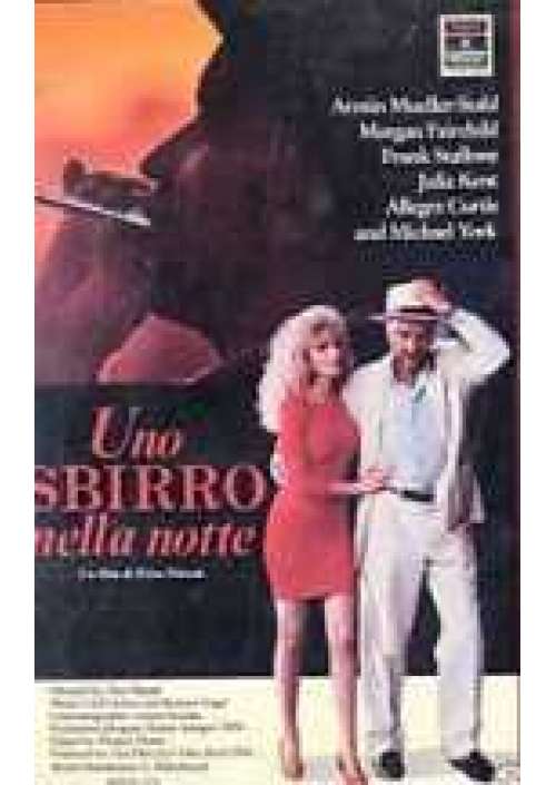 Uno Sbirro nella notte