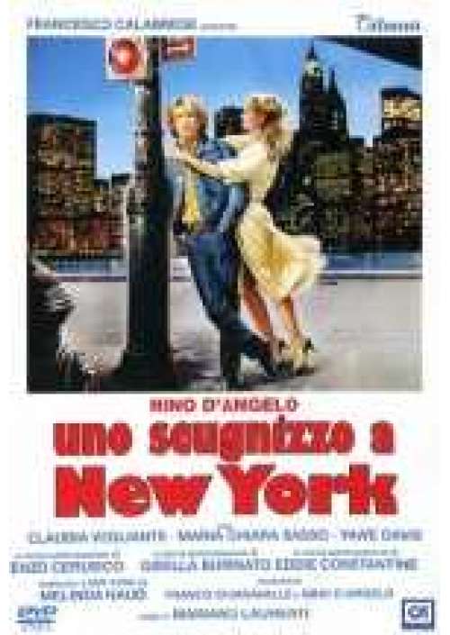 Uno Scugnizzo a New York 