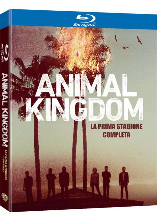 Animal Kingdom - Stagione 01 (2 Blu-Ray)