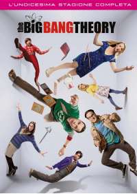 Big Bang Theory (The) - Stagione 11 (2 Dvd)