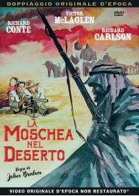 La Moschea Nel Deserto