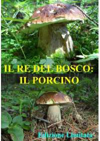 Re Del Bosco (Il) - Il Porcino