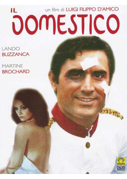Il Domestico